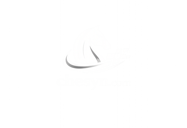 Chesyn